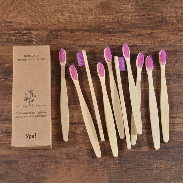 10 Pieces Colorful Toothbrush Natural Bamboo Tooth brush Set